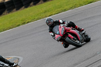 PJ-Motorsport-2019;anglesey-no-limits-trackday;anglesey-photographs;anglesey-trackday-photographs;enduro-digital-images;event-digital-images;eventdigitalimages;no-limits-trackdays;peter-wileman-photography;racing-digital-images;trac-mon;trackday-digital-images;trackday-photos;ty-croes